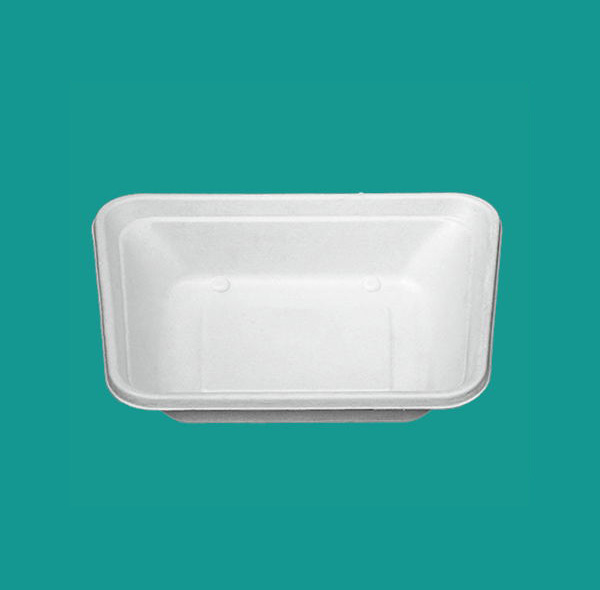 600ML 盒子 BT-T-194